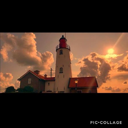 Gastenverblijf De Paddestoel Urk Kültér fotó